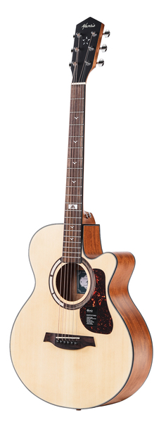 GT-1AC
