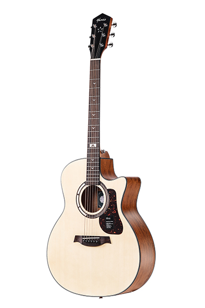 GT-1GC