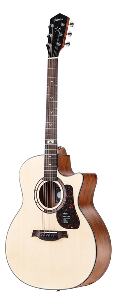 GT-1GC
