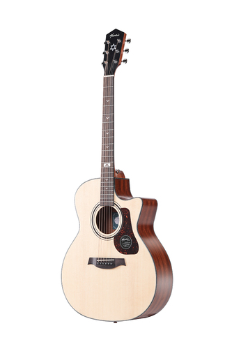 GT-10GC